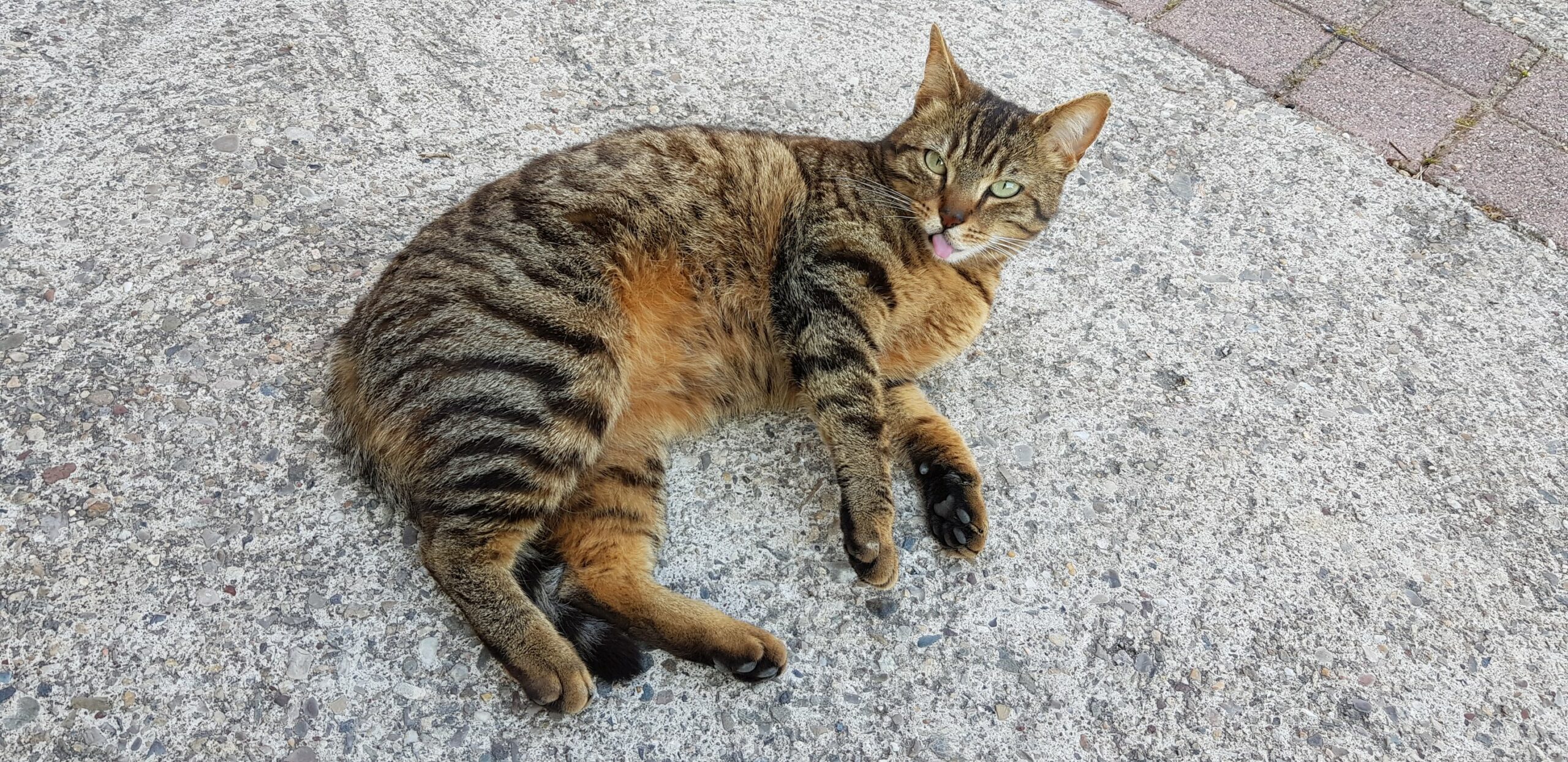 668232250_4248593892118619_2953963946206738363_n